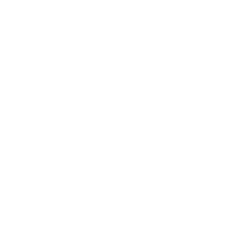 Amensa Diagnostics logo